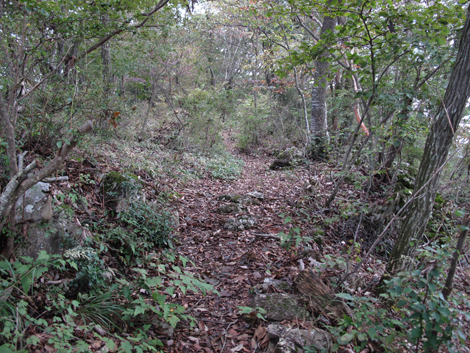 20181009hike (203)
